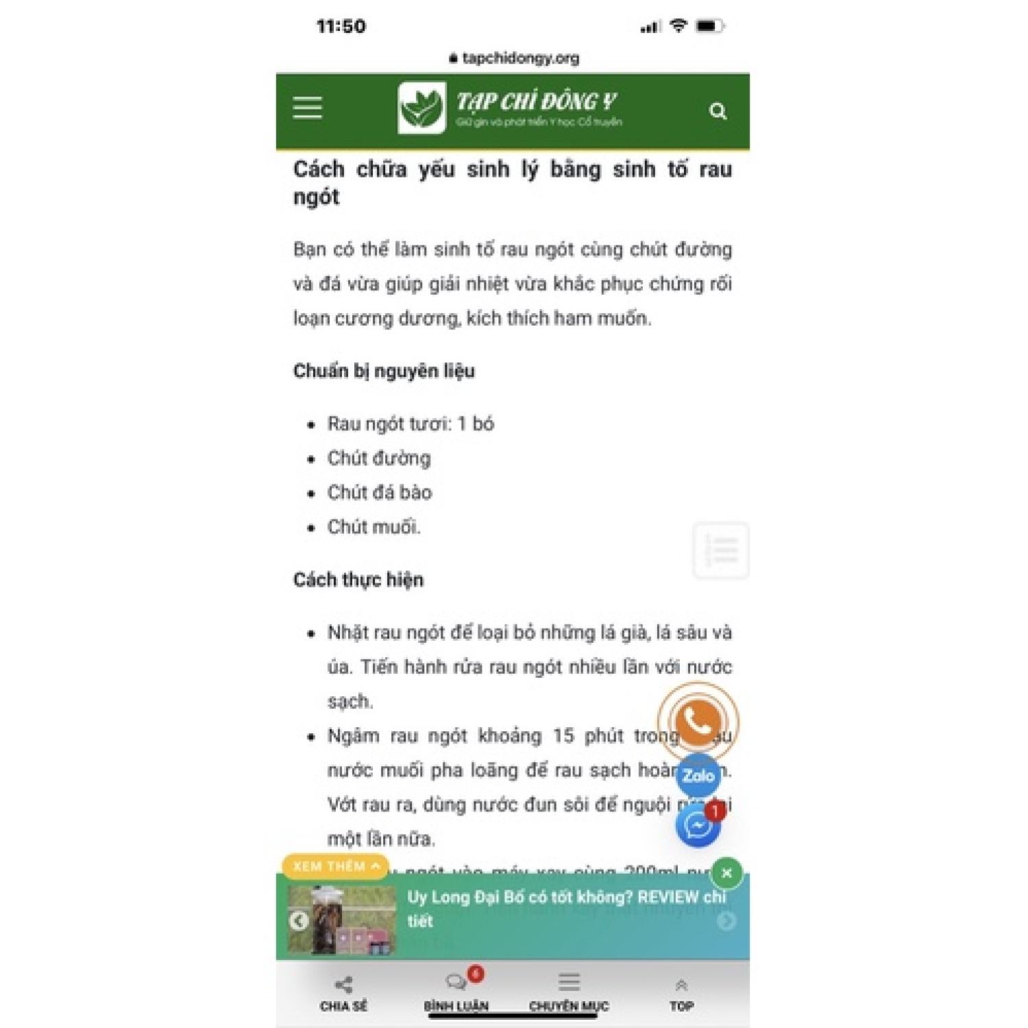Combo chậu gồm 30 cây bồ ngót Nhật