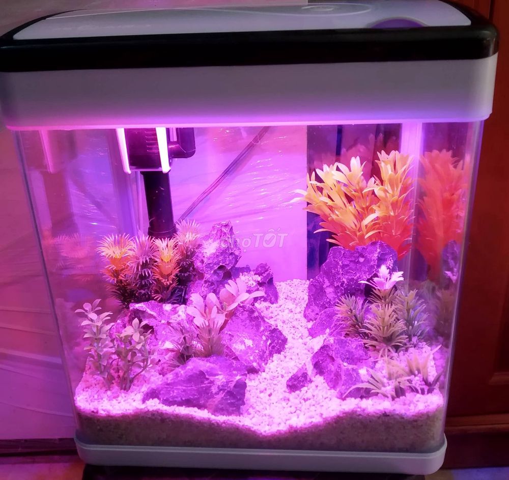[Tặng men làm trong nước] Bể cá mini MJ260 gồm bể đúcđúc, đèn ledled, bộ lọc