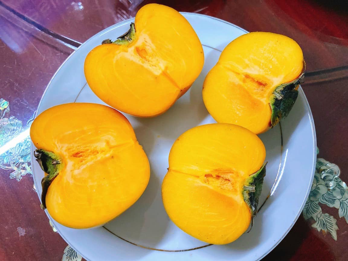 CÂY GIỐNG HỒNG GIÒN KHÔNG HẠT