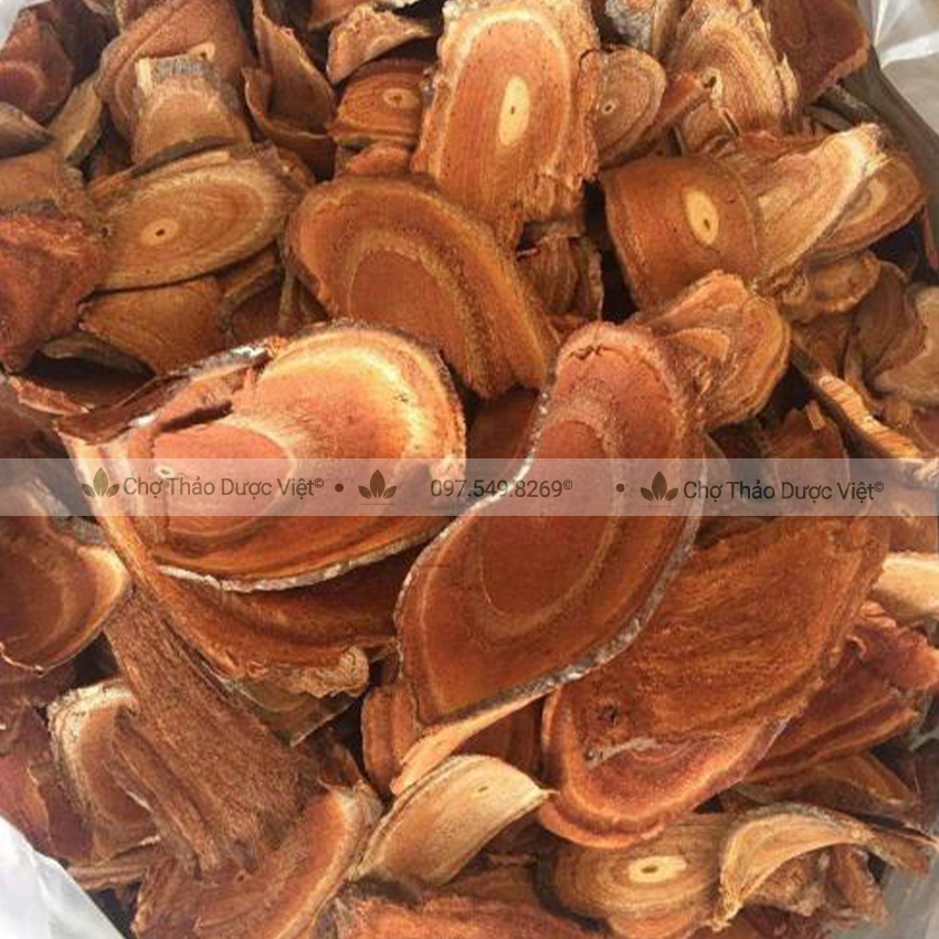 Cây cỏ máu khô 1kg, trà cỏ máu, giúp bổ huyết, tăng cân, điều hòa kinh nguyệt, an thần, ngủ ngon