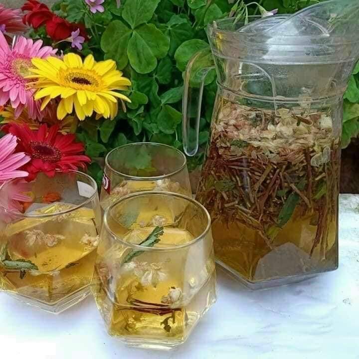 Sơn mật hồng sâm khô 500g, Trà sơn mật hồng sâm khô