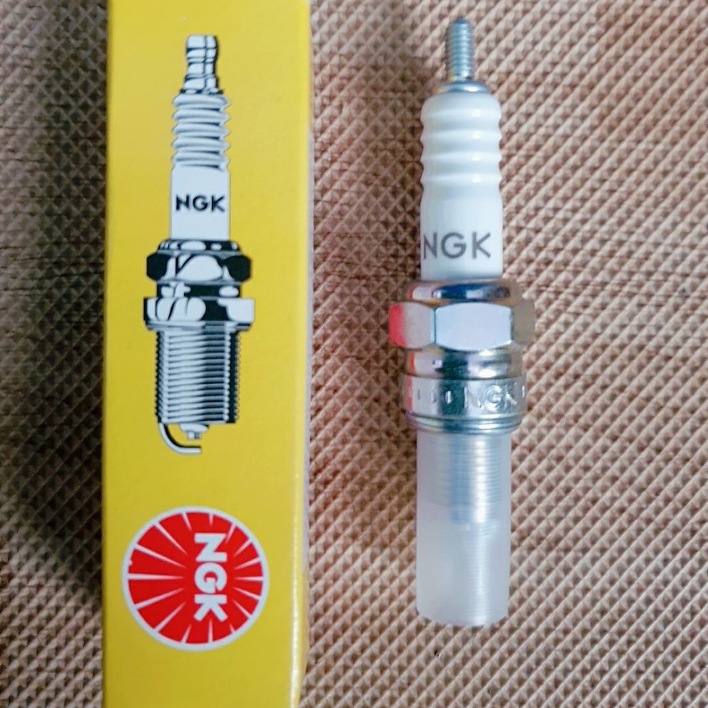 Buzi ngk cho xe dream