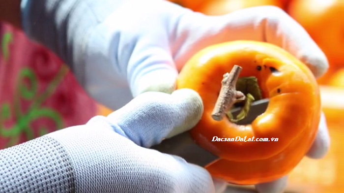 Hồng treo gió thượng hạng DaLaVi