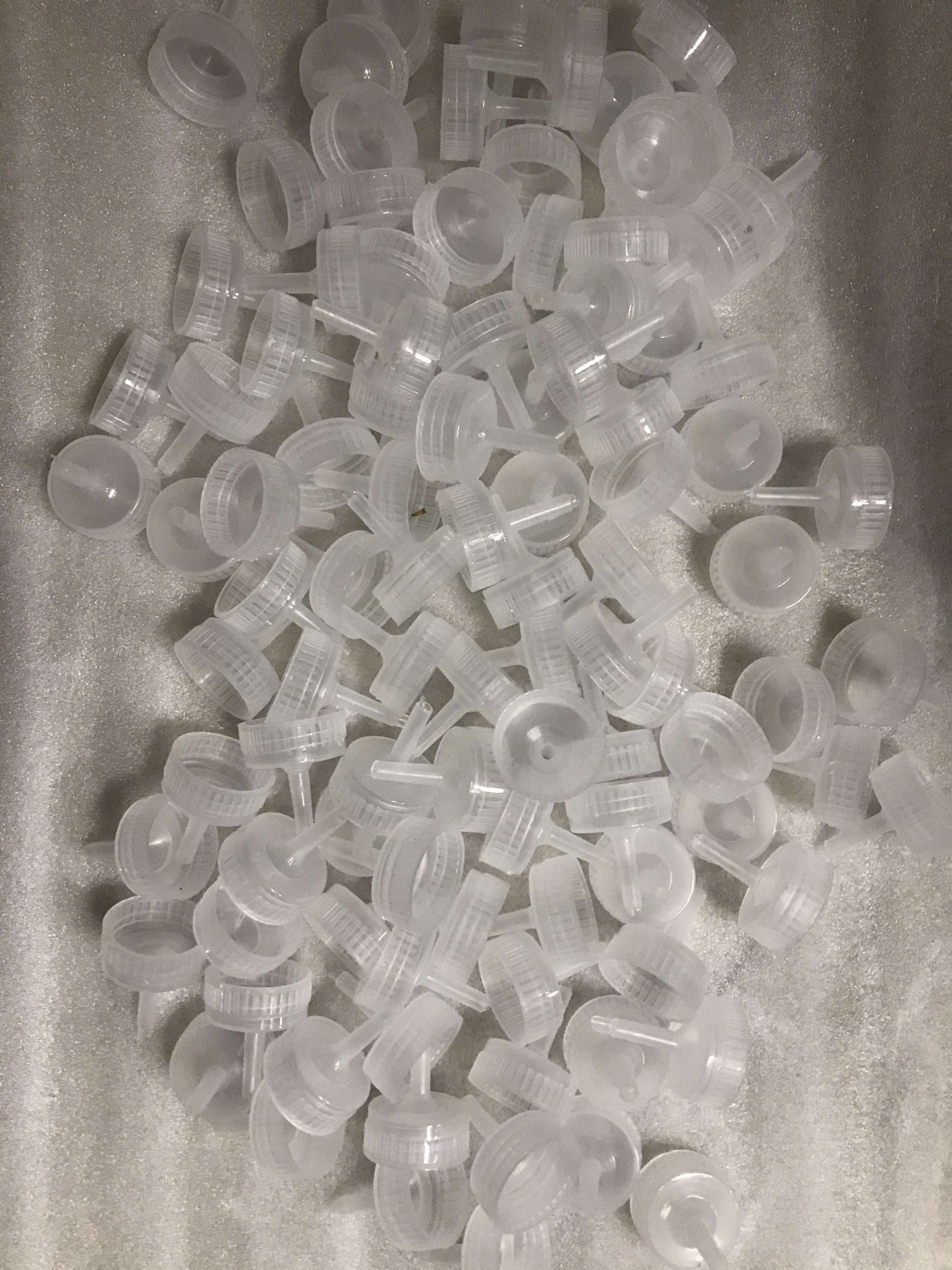 NẮP BÌNH ẤP Artemia 10 cái