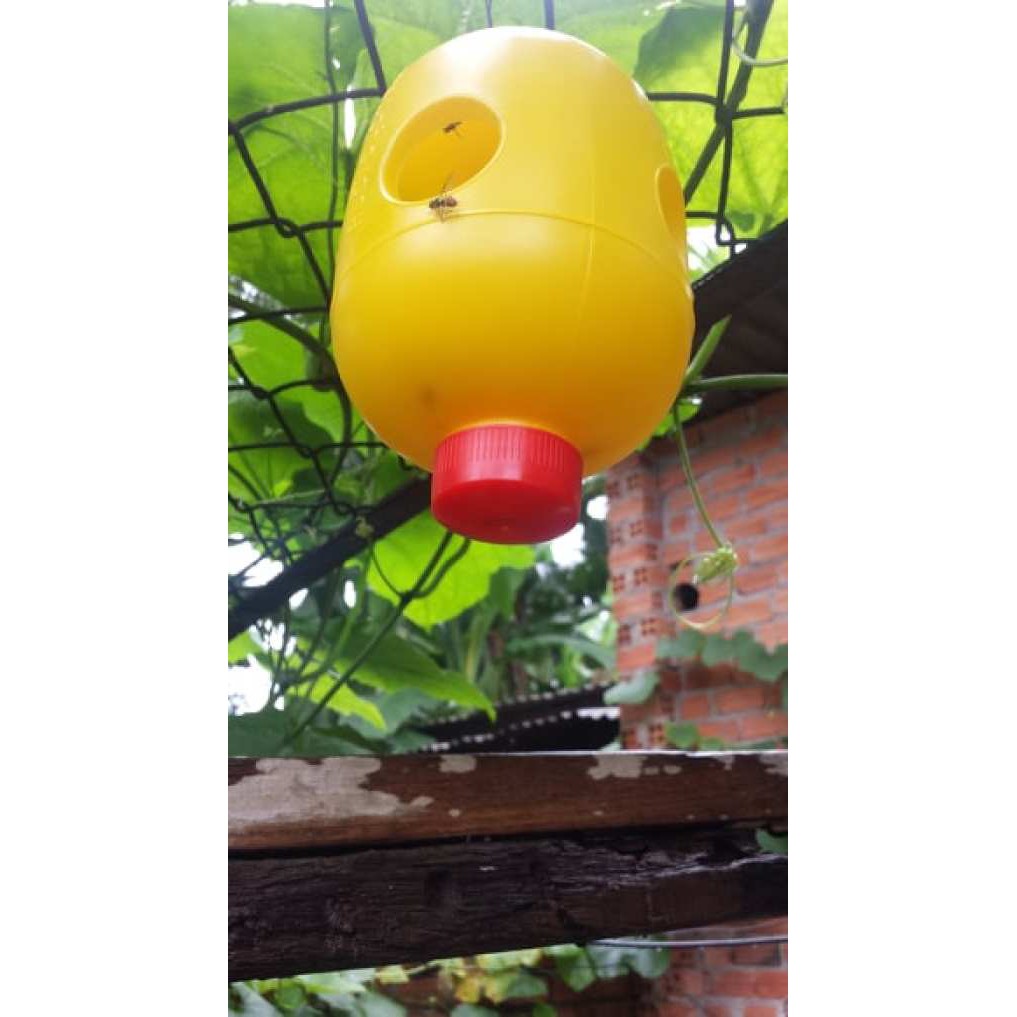 COMBO 2 ĐÈN BẪY CÔN TRÙNG + 1 HỘP (2 LỌ) DẪN DỤ VIZUBEN-D