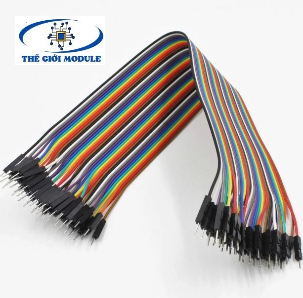 Dây bus, dây bẹ 2 đầu đực 20cm