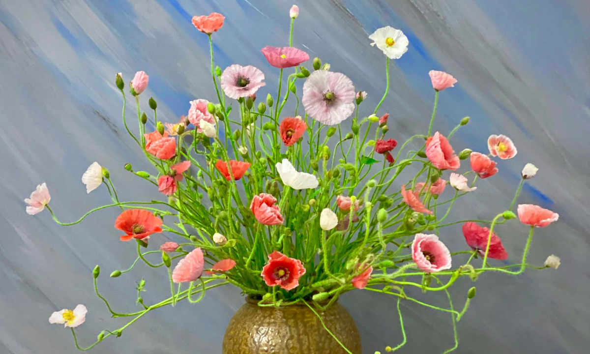 Hạt giống hoa poppy