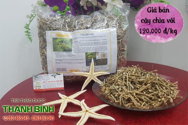 Cây Chìa Vôi 1KG - Thảo Dược Thanh Bình