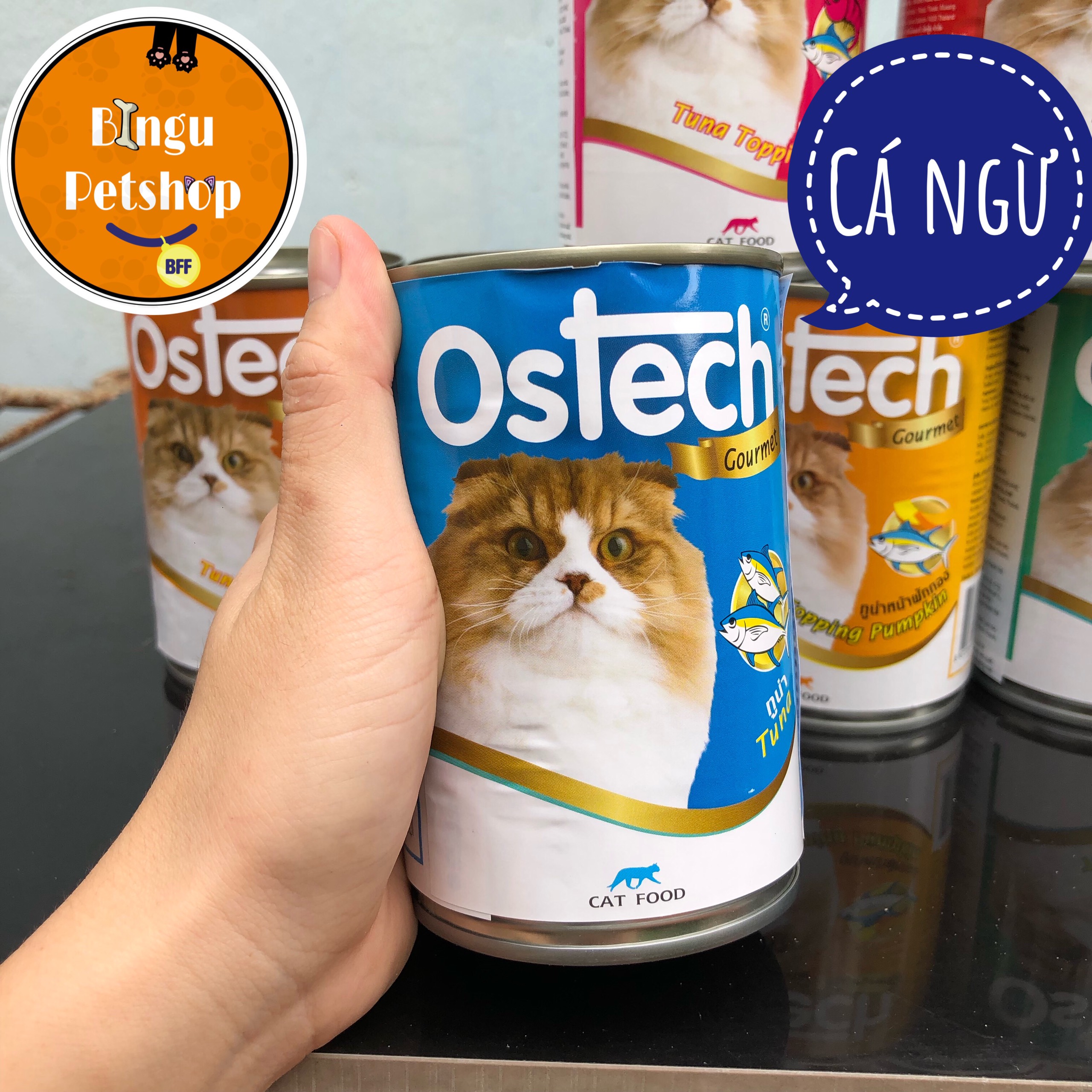 Pate cao cấp cho mèo Ostech Gourmet 8 vị hấp dẫn - lon 400gr