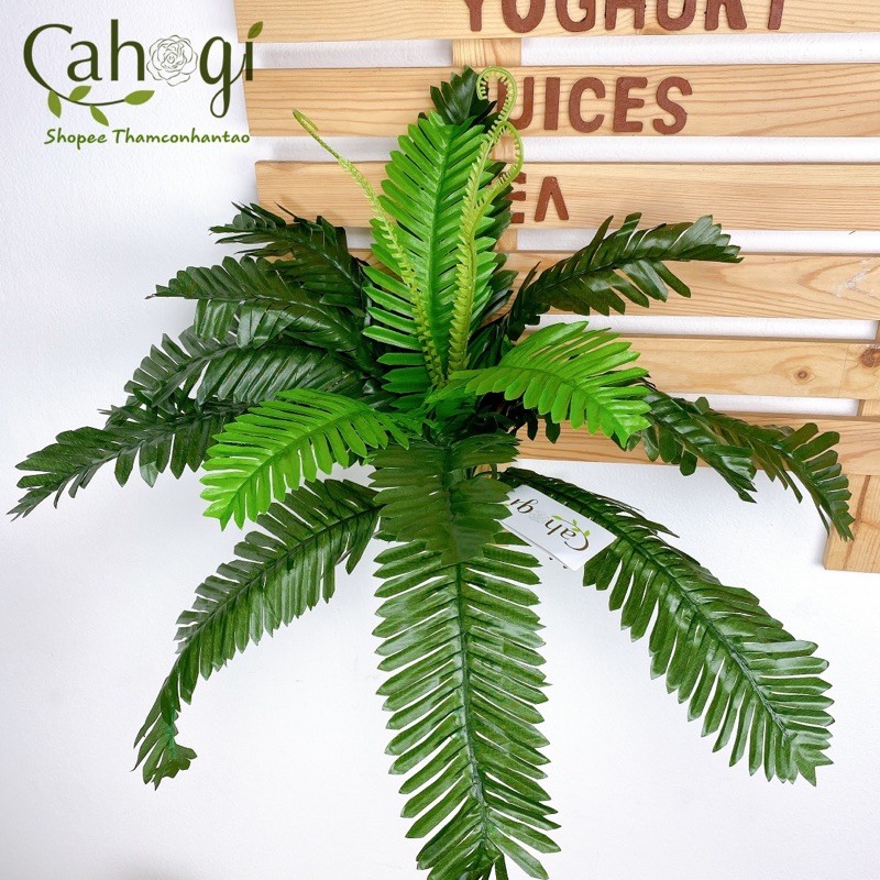 Cây giả - Vạn Tuế trang trí cỡ lớn (decor tường cỏ)