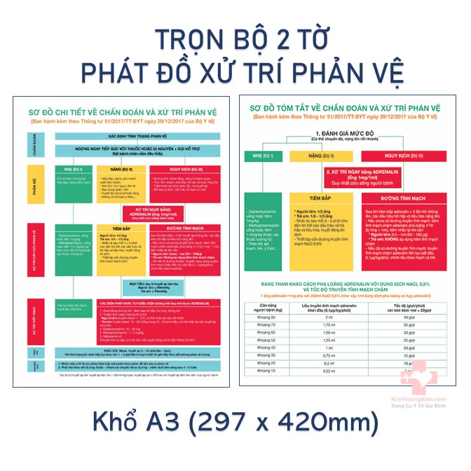 Phát đồ Chẩn đoán và xử lý sốc phản vệ theo tiêu chuẩn Bộ Y Tế