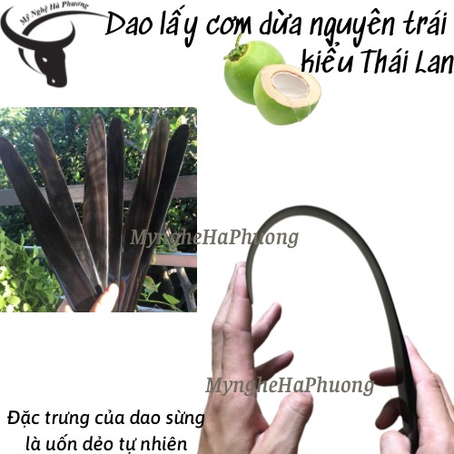 [Loại 1] Dao sừng lấy cơm dừa nguyên trái kiểu Thái Lan