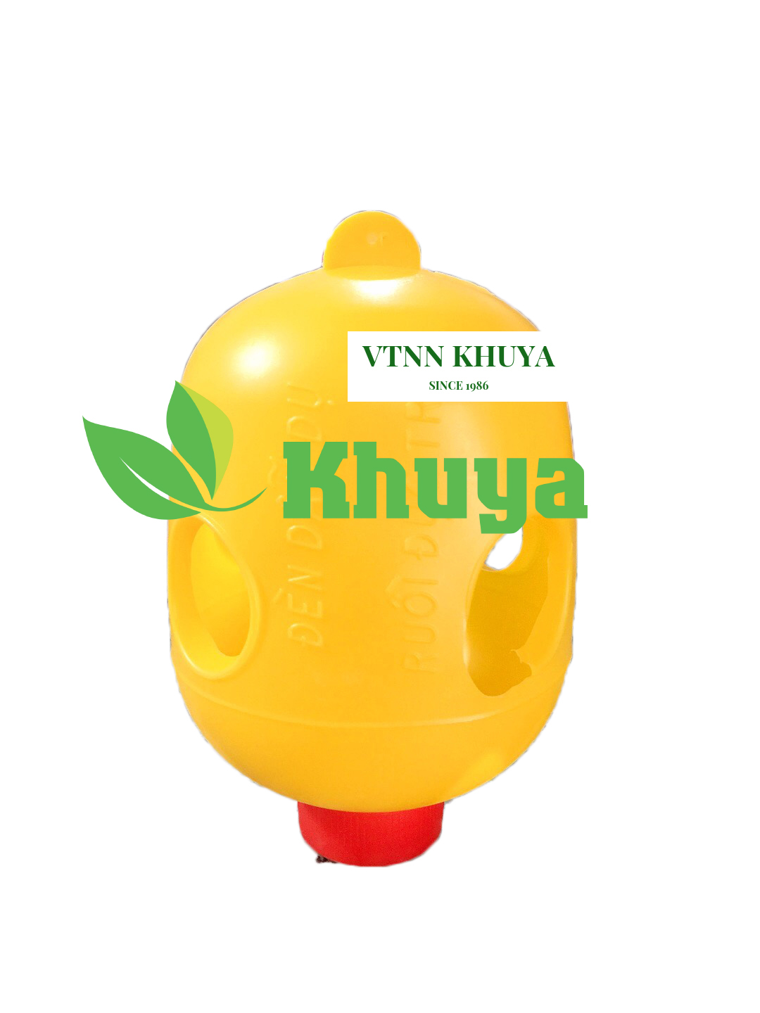 Bẫy ruồi vàng