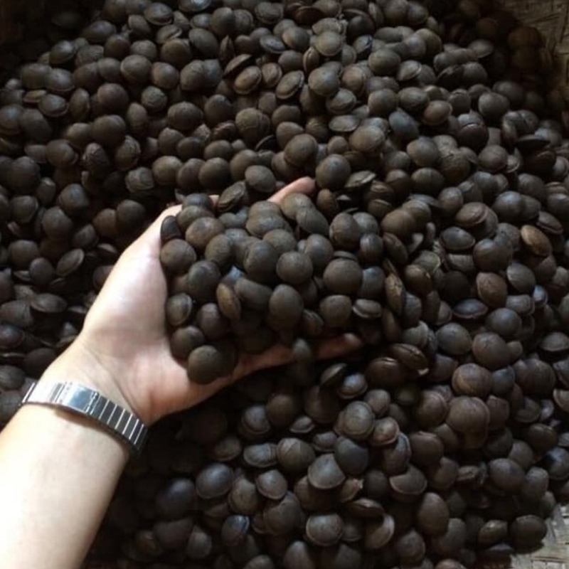 Hạt sachi (1KG) - DV247