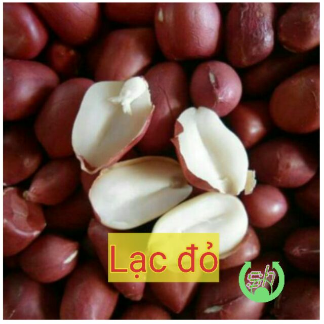 [HCM]Lạc đỏ/ đậu phộng đỏ - 250gr - lạc sống