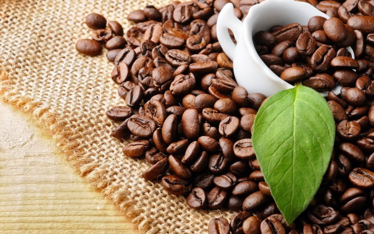 cà phê nguyên chất DakLak 150K/kg