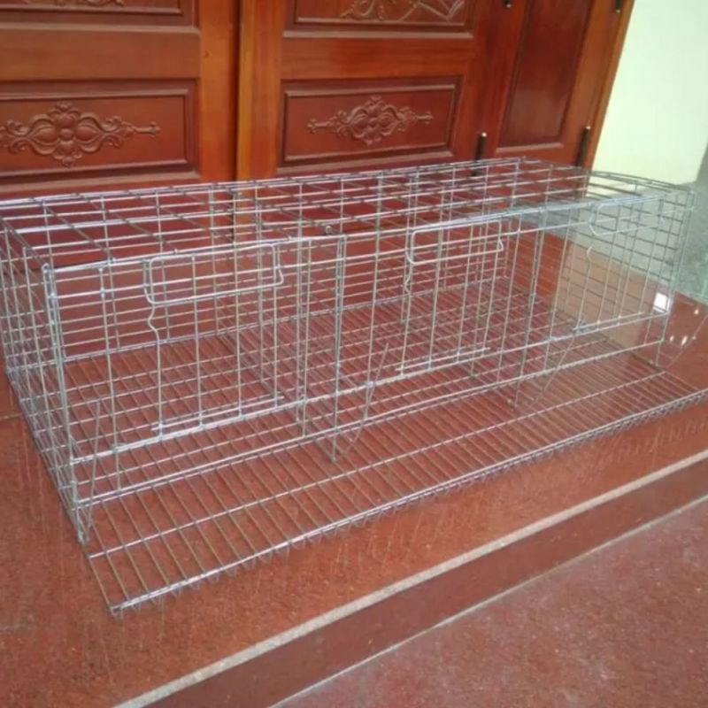 Lồng chim câu 4-4.2kg