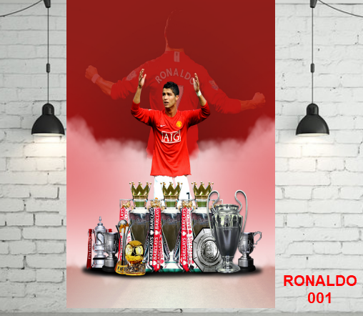 Combo 5 ảnh poster 40x60 - LiDO Sports