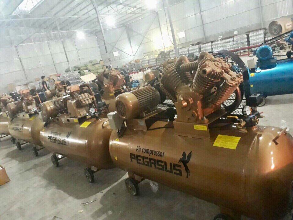Máy nén khí Pegasus TM-V -0.25/8-70L