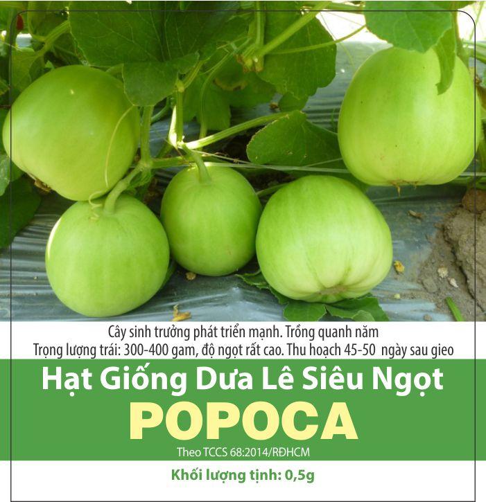 Hạt Giống Dưa Lê Sai Trái (0.5gr)
