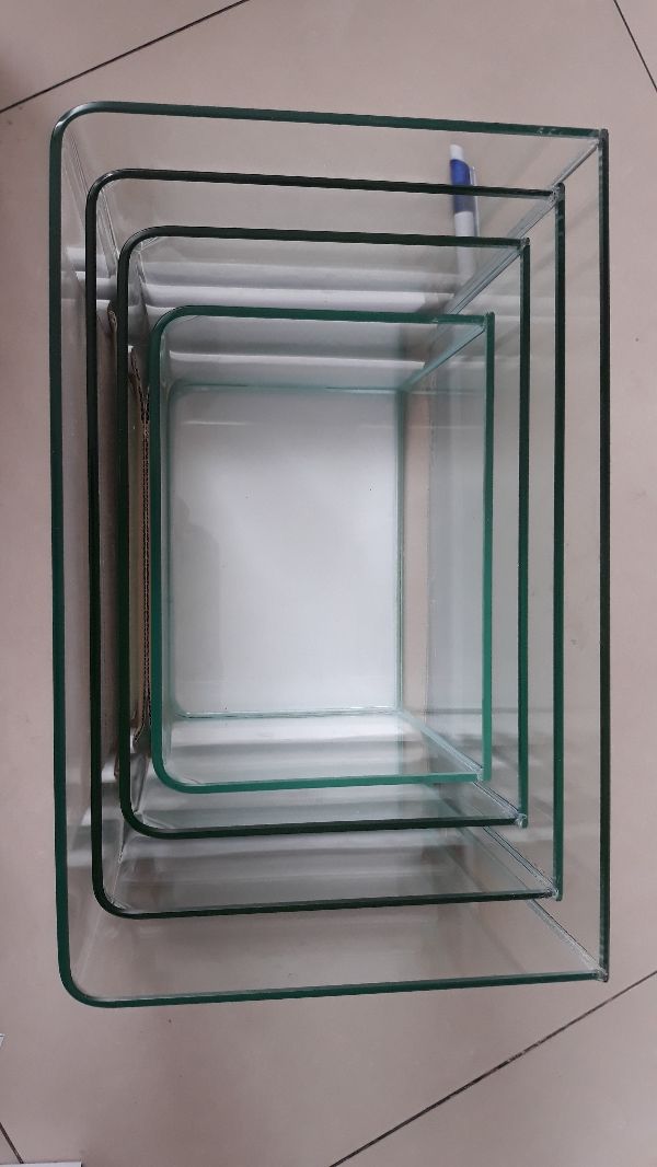 [HCM]Bể cá đúc mặt bo cong 22 x 15 x 17 cm