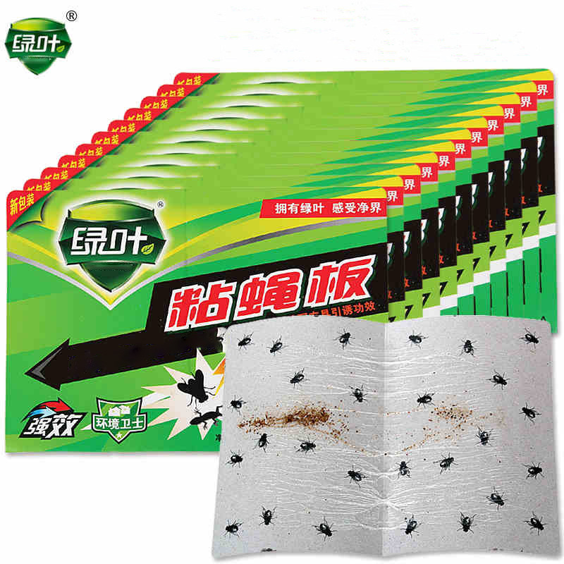 Miếng keo dính ruồi siêu hiệu quả