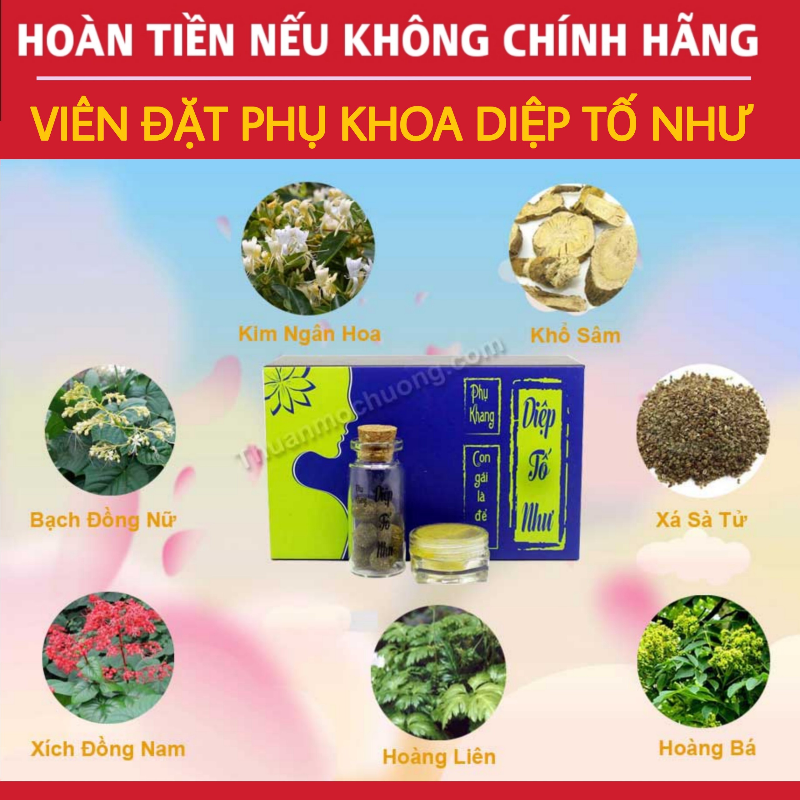 Viên đặt phụ khoa Diệp Tố Như
