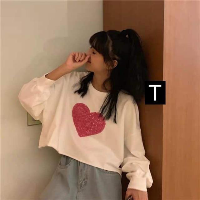 Áo croptop tim to dài tay DTR0919