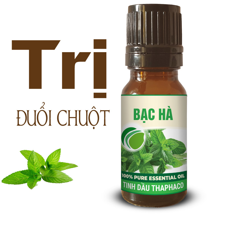 Tinh Dầu Bạc Hà 10ml Thaphaco