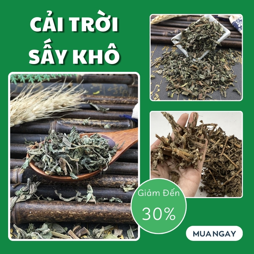 [Hàng mới về] Cây cải trời sấy khô 1kg - tấn phát - Hàng sạch cao cấp