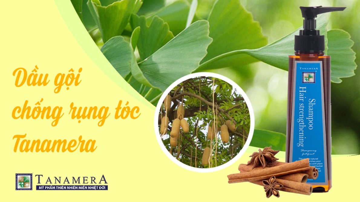 Dầu Gội Ngăn Ngừa Rụng Tóc Tanamera