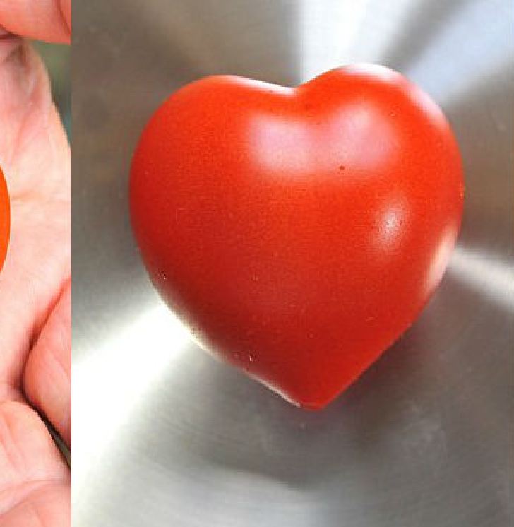 Hạt giống Cà chua đỏ trái tim - gói 30 hạt