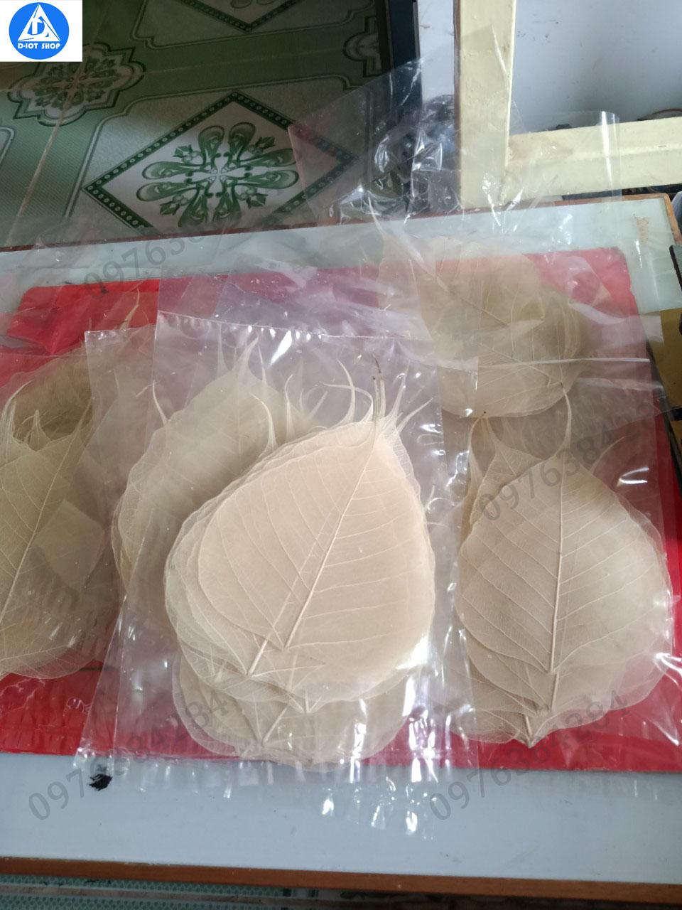 set 20 xương lá bồ đề nguyên bản (tặng 1 cái)
