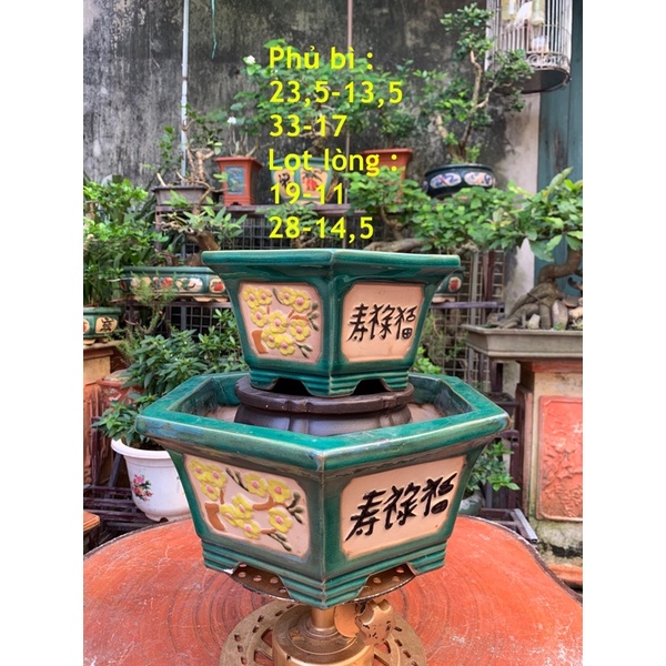 Chậu lục đồng nai /chậu trồng cây bonsai/chậu trồng cây cảnh /chậu trồng cây kiểng