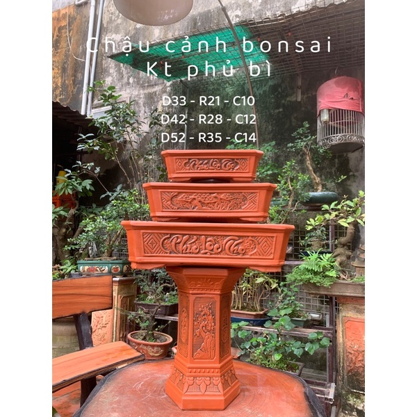 Chậu chữ nhật trồng cây bonsai và đôn kê chậu