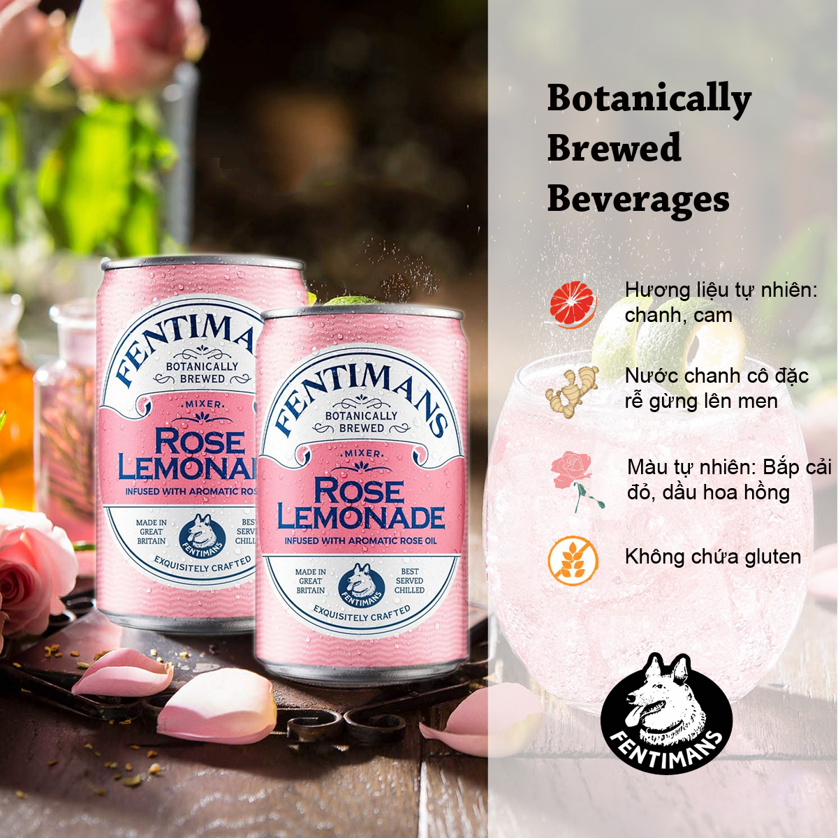 Fentimans Tonic Vị Hoa Hồng Rose Lemonade 150ml Chai Anh Quốc