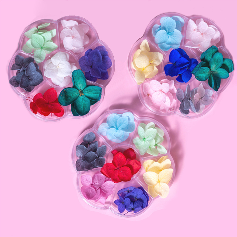 Hoa khô trang trí móng tay - Set 7 màu hoa khô nail cánh hoa to và mỏng đắp ẩn theo phong cách Hàn Nhật giá rẻ