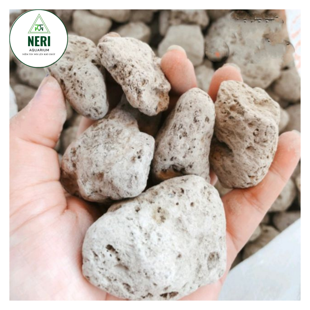 Đá lông vũ hay đá nham thạch trắng hàng nhập khẩu size 2-4cm 1lit.