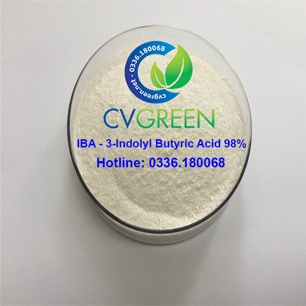 [HCM]Siêu ra rễ IBA 98% (kích rễ kích chồi không tan trong nước) gói 50g