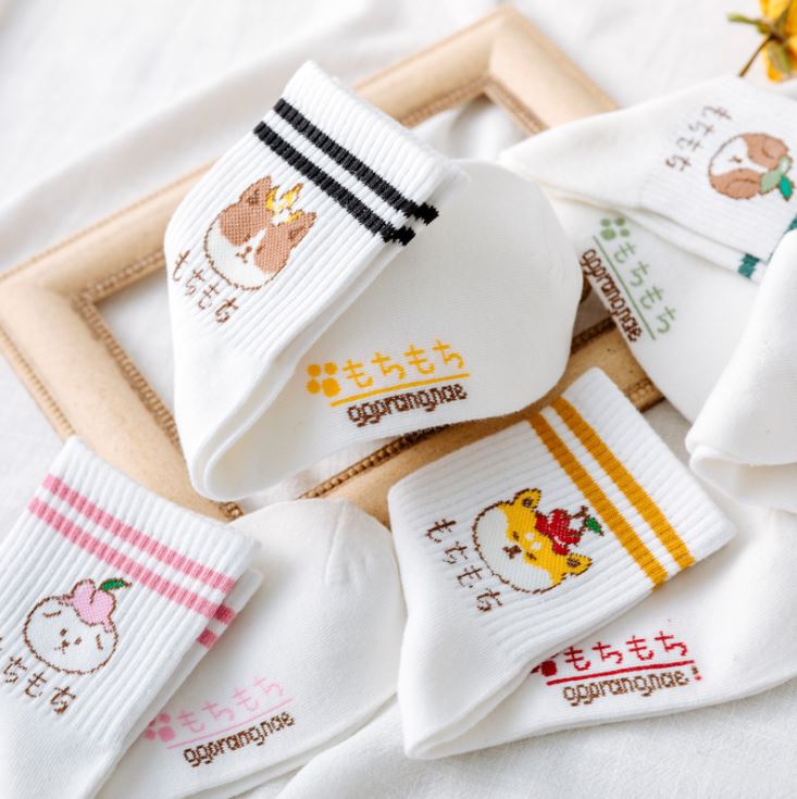 Set 5 Đôi Tất Vớ Nữ Gấu Trắng Cao Cổ
