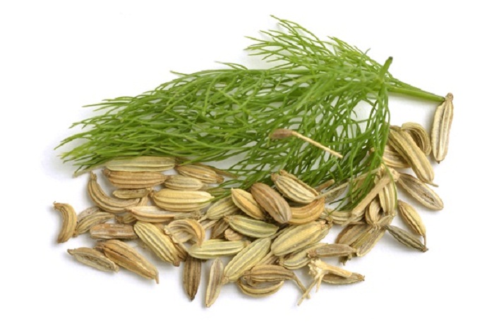 [100g] Hạt tiểu hồi ĐẠI ĐỒNG THUẬN Fennel Seeds (ddt-hk)
