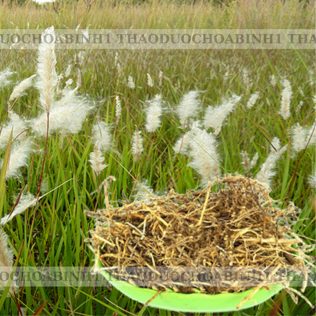 Rễ cỏ tranh (rễ cỏ gianh,bạch mao căn) khô thơm sạch.500gr