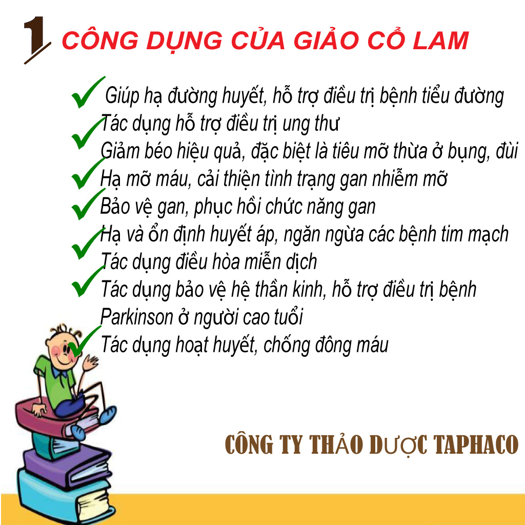 Cây giảo cổ lam sấy khô 500g - Thảo Dược Tấn Phát - Hỗ trợ giảm cân và điều hoà đường huyết