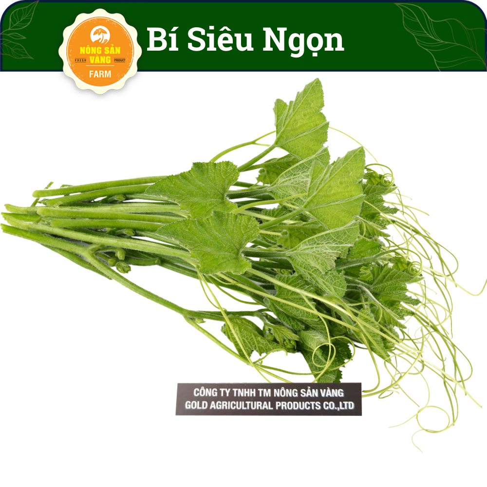 Vegetable seeds pumpkin dress tops (pumpkin super open) high nutritional value, easy to grow much men Vogue