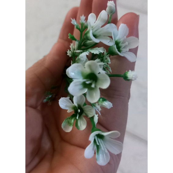 100g cỏ điểm