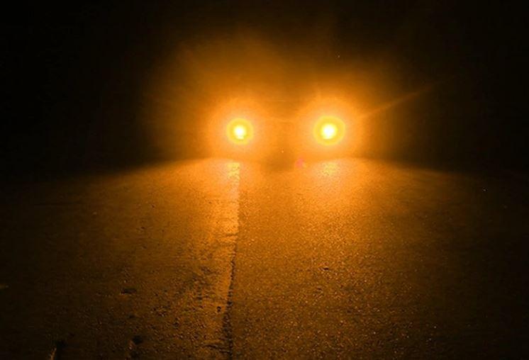 bóng led CREE lùi và phanh 1156 12 led ( giá 1 bóng )