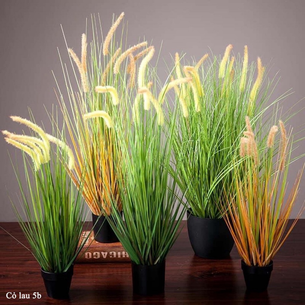 Hoa giả - cây cỏ lau cành 5 bông