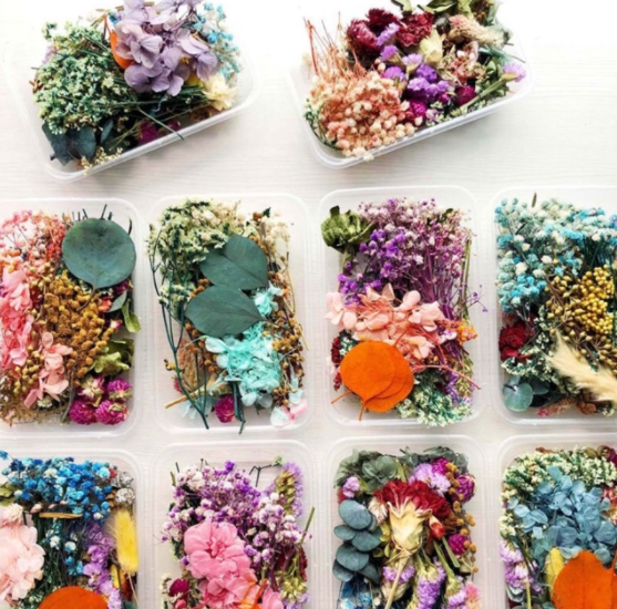 Hộp Hoa Khô Mix Tổng Hợp Trang Trí Resin - Trường Thịnh Sài Gòn