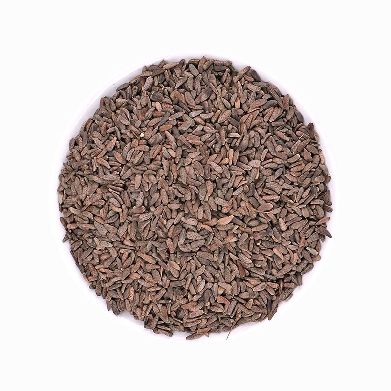 Ngưu bàng tử sấy khô túi nhỏ loại 100g - Thảo Dược Tấn Phát