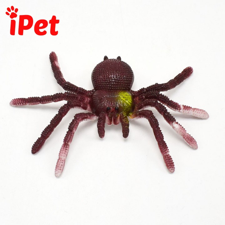 [HCM]Đồ Chơi Trêu Mèo Chơi Khăm Nhện Giả Cao Su - iPet Shop